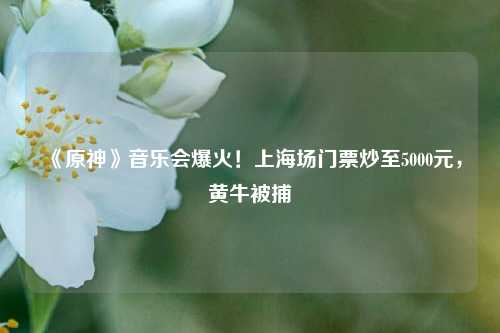 《原神》音乐会爆火！上海场门票炒至5000元，黄牛被捕