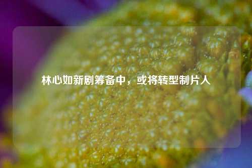 林心如新剧筹备中，或将转型制片人