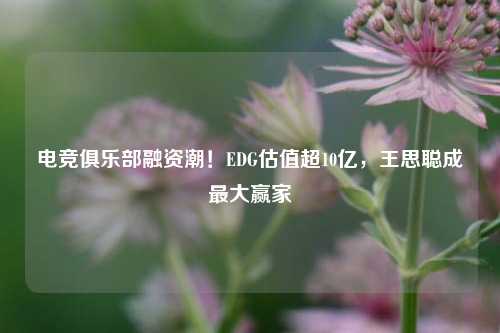 电竞俱乐部融资潮！EDG估值超10亿，王思聪成最大赢家
