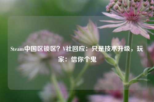 Steam中国区锁区？V社回应：只是技术升级，玩家：信你个鬼
