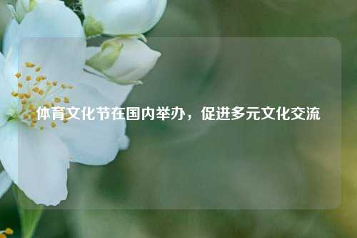 体育文化节在国内举办，促进多元文化交流